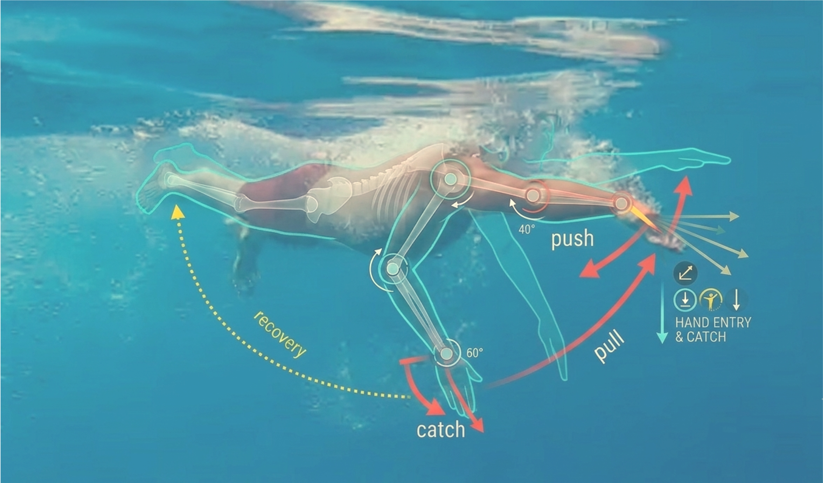 Evaluating Temporal Sequence Modeling for Swimming Stroke Classification